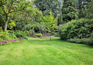 Optimiser l'expérience du jardin à Montgenost