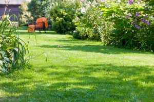 travaux jardin et paysage Montgenost